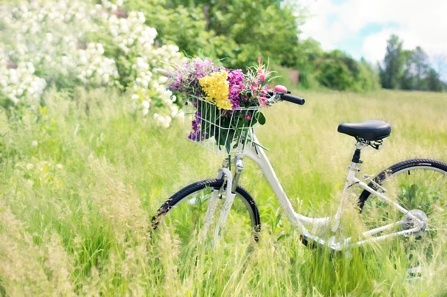 Frühling Sonne Fahrrad